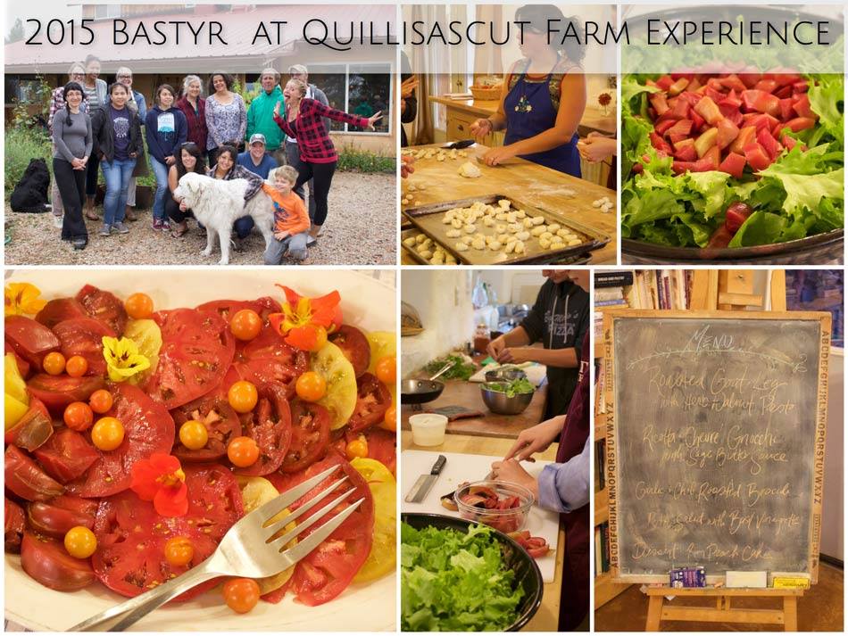 The Quillasacut Farm Experience