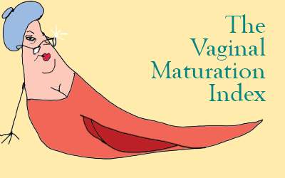 Vitamin E is Your Friend – Vaginal Dryness in Menopause